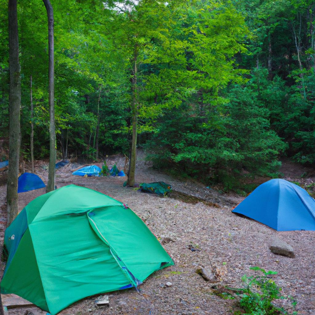 A serene camping site with colorful tents nestled among tall trees and clear blue skies. Campfire smoke gently wafts through the air as campers roast marshmallows and enjoy the peaceful surroundings of nature.