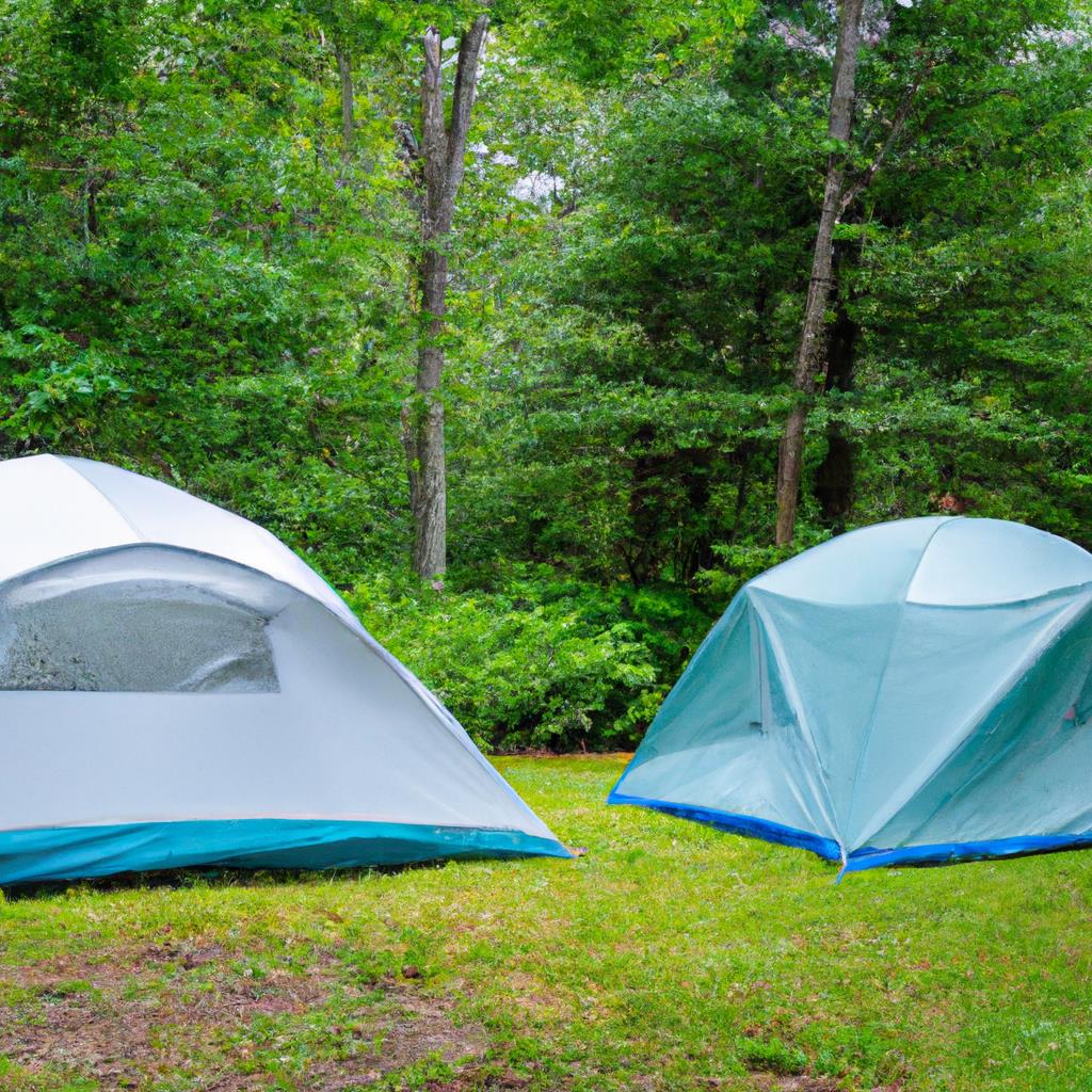 Two-person tent pitched on grassy camping site surrounded by trees, with small campfire nearby. Clear blue sky overhead, with mountains in the distance. Tranquil setting for outdoor adventure and relaxation in nature.
