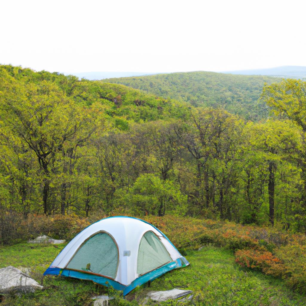 Sunset over a tranquil tenting and camping site with a glowing campfire, nestled within a pine forest. Tents pitched neatly on grassy grounds, surrounded by trees and mountains in the background, under a starry sky.