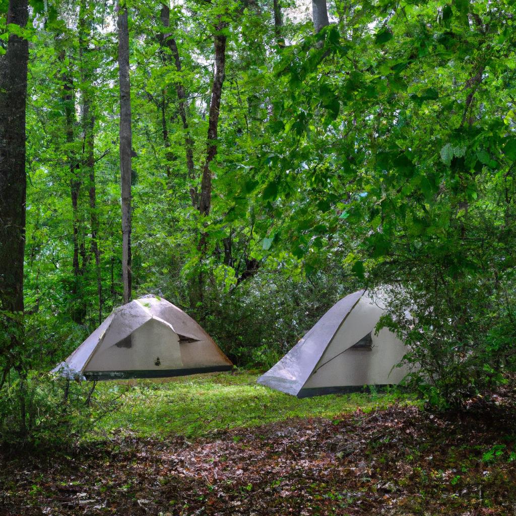 A_tenting_and_camping_site_with_tents_setup_in_a_clearing_surrounded_by_tall_trees_and_mountains_in_the_background_a_campfire_burning_with_smoke_rising_into_the_blue_sky_people_sitting_around_the_fire_enjoying_their_outdoor_experience_in_the_wilderness.