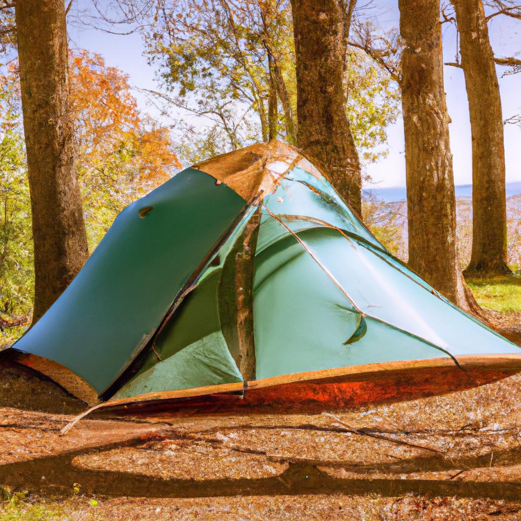 Amenities found at a beautiful camping site among trees and mountains; colorful tents pitched on lush grass with a bonfire; peaceful outdoor experience under a starry sky; adventure in the wild with hiking trails and scenic views.