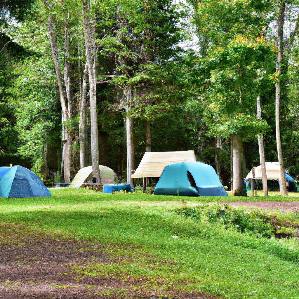 A wide open grassy field lined with colorful tents and a crackling campfire. Trees in the background and a clear blue sky with fluffy white clouds above. People gathering around the fire, toasting marshmallows and sharing stories.