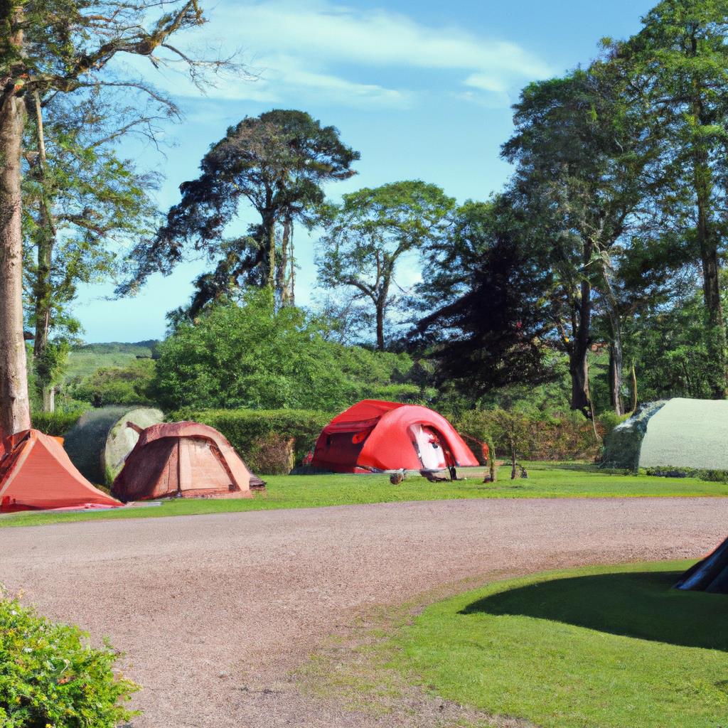 An outdoor camping site with colorful tents pitched in a forest clearing, surrounded by tall trees and a glowing campfire. A clear night sky twinkling with stars overhead, creating a peaceful and serene atmosphere for a night under the stars.