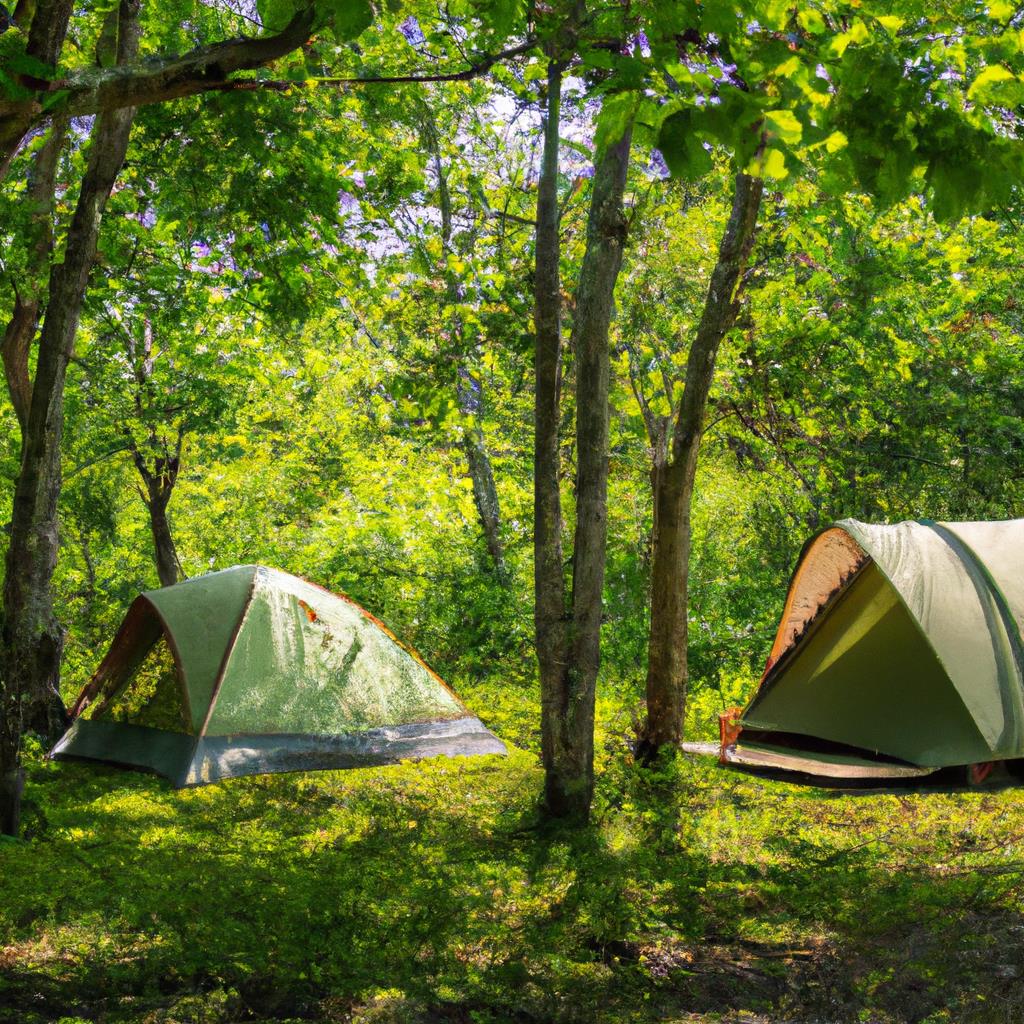 A serene camping site surrounded by tall trees, with tents set up on green grass. A campfire burns in the center, smoke rising up to meet the clear sky above. The sun is setting, casting a warm glow over the scene.