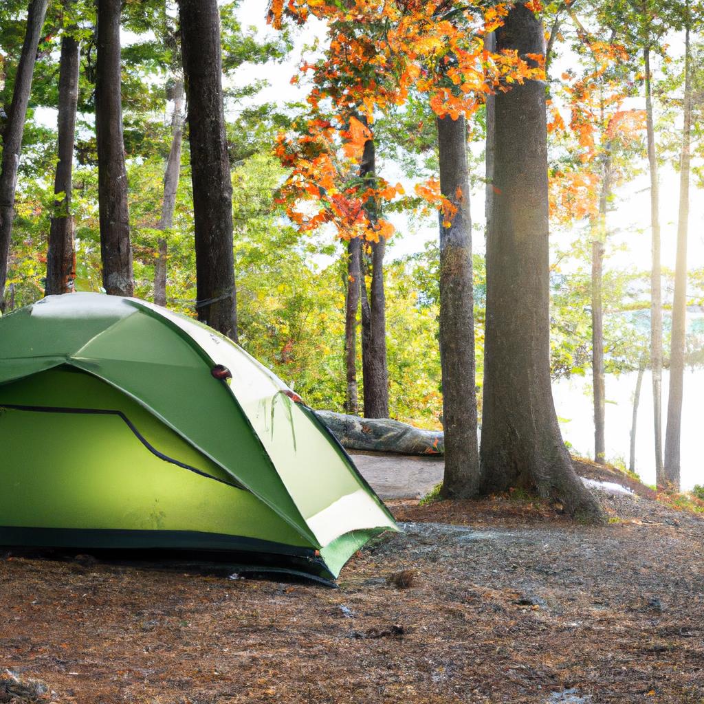 A simple tenting and camping site surrounded by trees. A small fire pit with logs for seating. A picnic table with a cooler and lantern. A backpack leaning against a tree. A peaceful and serene outdoor getaway.