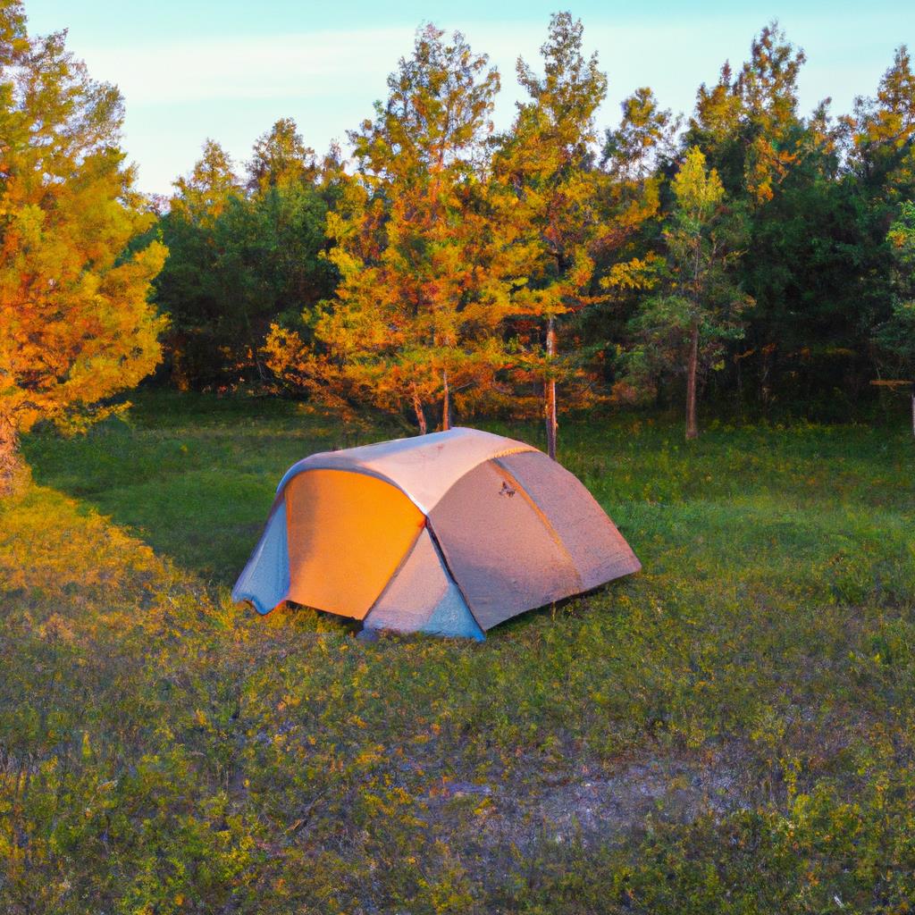 A simple campsite with a small tent, a crackling campfire, and a clear night sky filled with twinkling stars. Surrounded by tall trees and the sounds of nature, it''s the perfect escape from the hustle and bustle of everyday life.