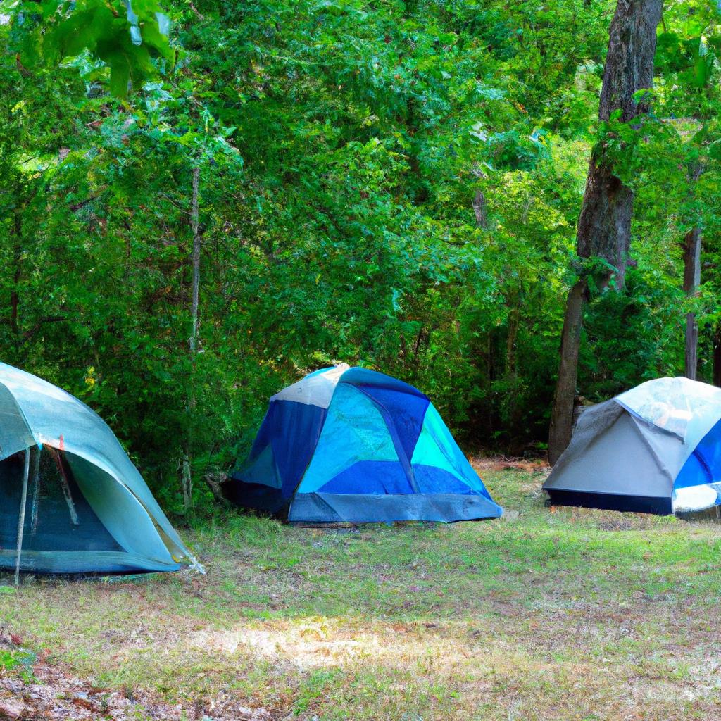 camping, outdoors, nature, swamp, tent